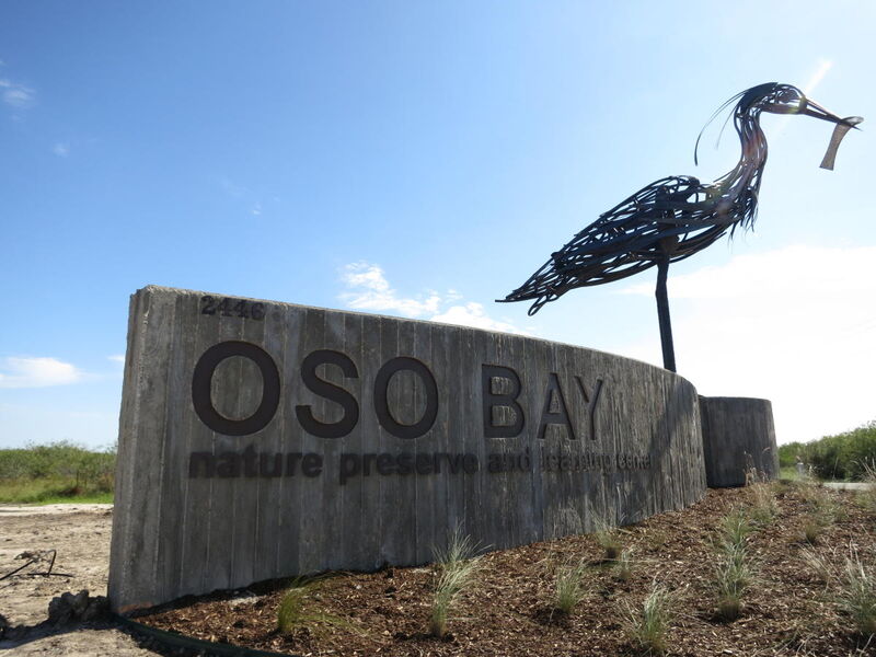 Oso Bay Wetlands Preserve_Credit to Visit Corpus Christi