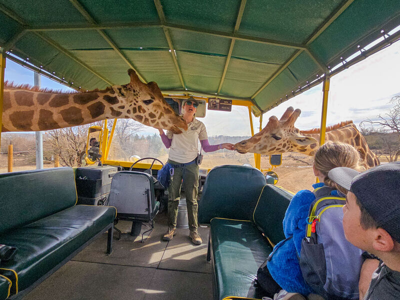 Out of Africa