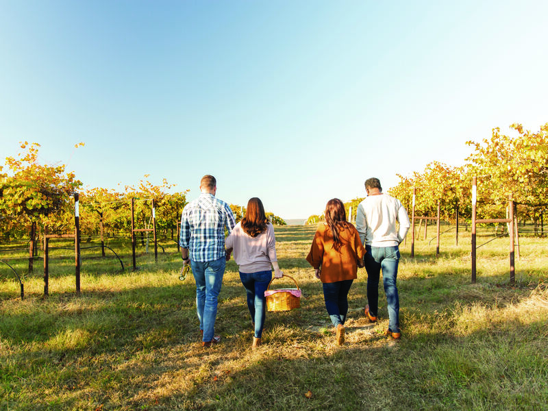 Winery