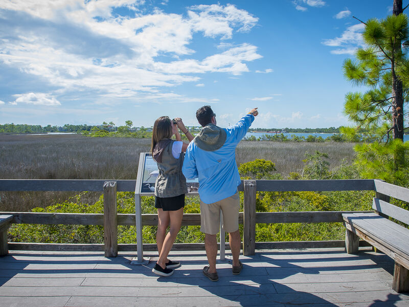 Hikers explore Pensacola