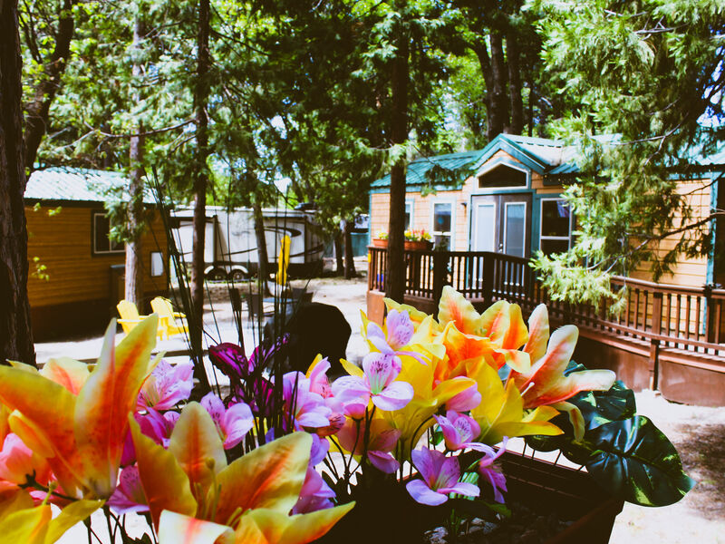Mt Shasta KOA