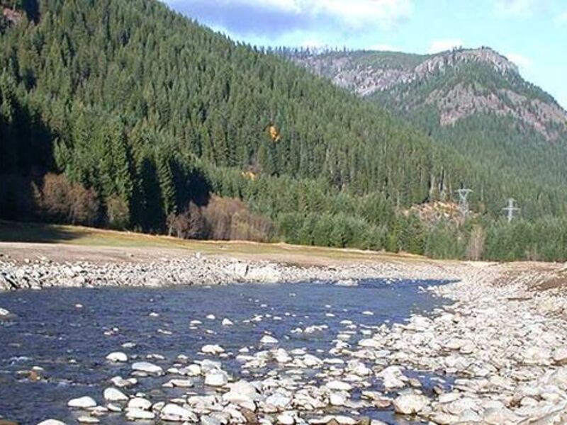 Willamette National Forest