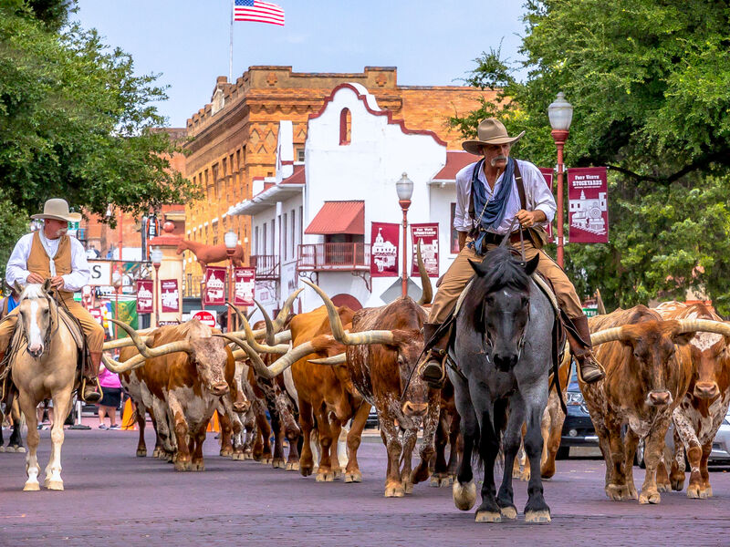 Fort Worth Stock Show_Credit to Travel Texas
