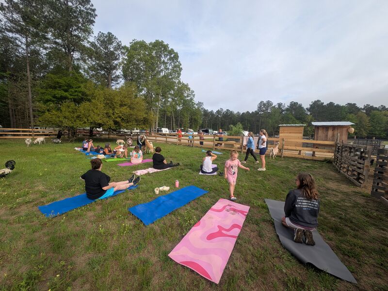 Goat Yoga_ Credit to Outside Inn Campground