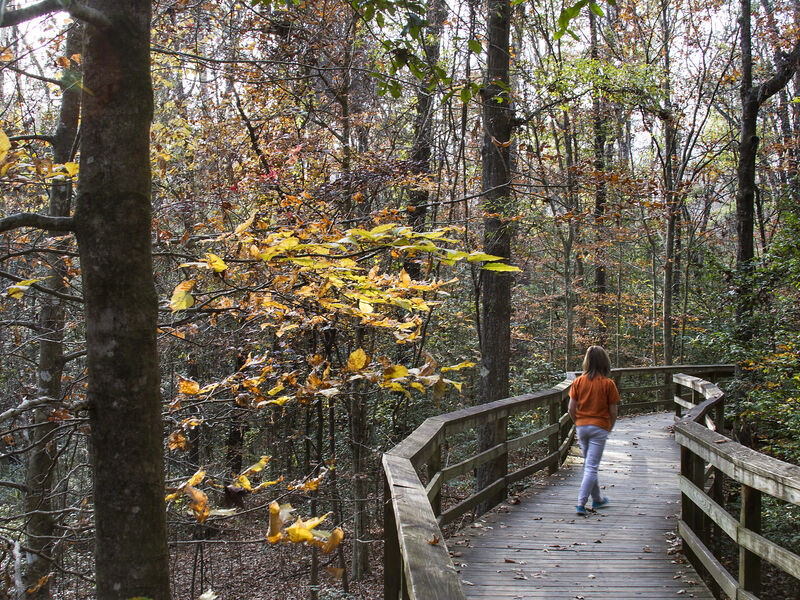 Congaree National Park