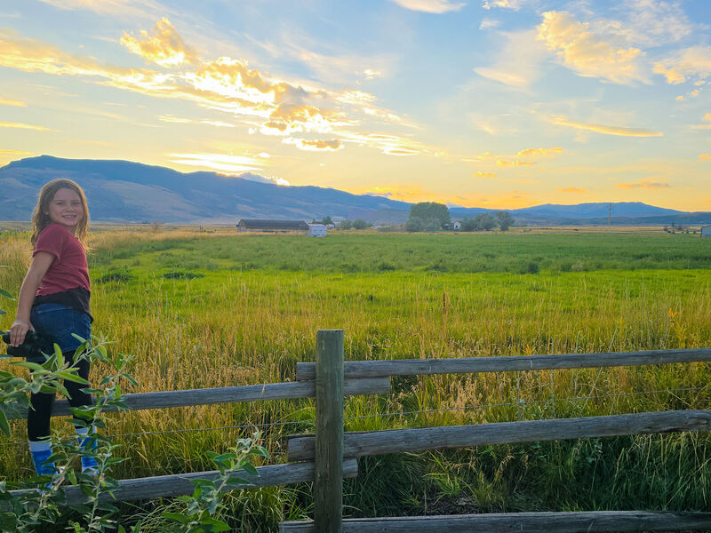 A girl stands in a field next to a fence