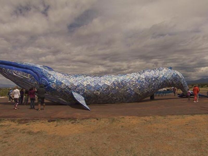 Ethyl the Whale_Credit to New Mexico PBS