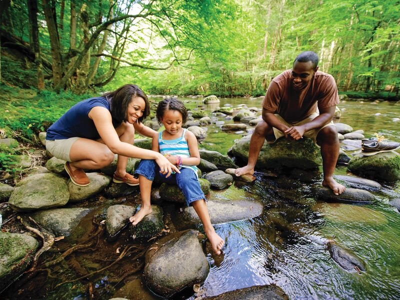 Gatlinburg_SevierCo_GreatSmokyMountainsNationalPark-1_Credit to Jed DeKalb (1)
