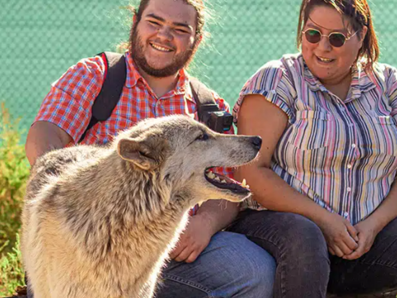 Tour_Credit to Wild Spirit Wolf Sanctuary