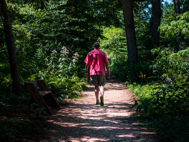 Hawthorn Hollow Nature Sanctuary