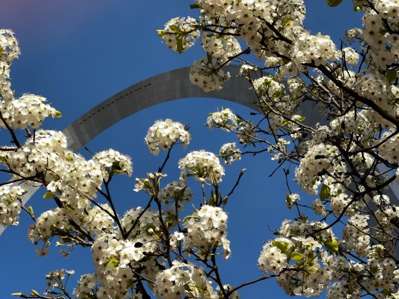 Gateway Arch