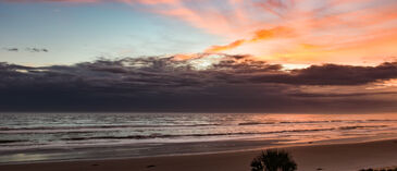 Purple Sunrise